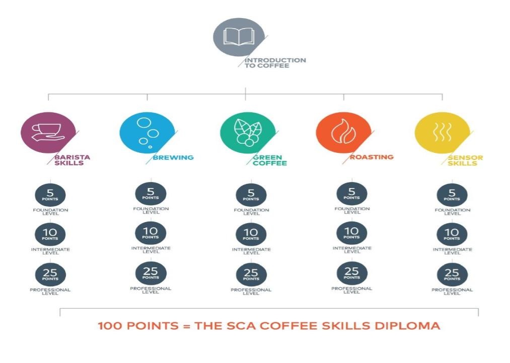 向上精品咖啡研究室 x 熠咖啡 x 熠設計 | SCA CSP 國際咖啡證照課程